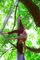 Indywidualny kolor Nylonowy hamak do jogi ze spadochronem 210T